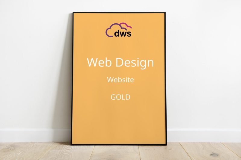 web design gold digidude web services