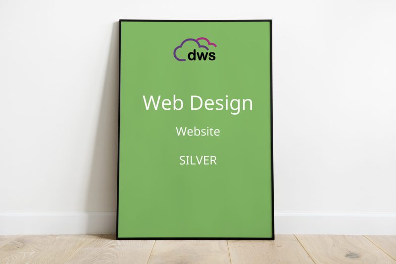 Web Design Silver Package Digidude Web Services